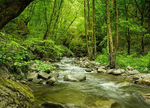 Река Селченска